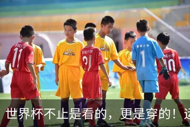 世界杯不止是看的，更是穿的！运动纺织品交出“世界杯成绩单”