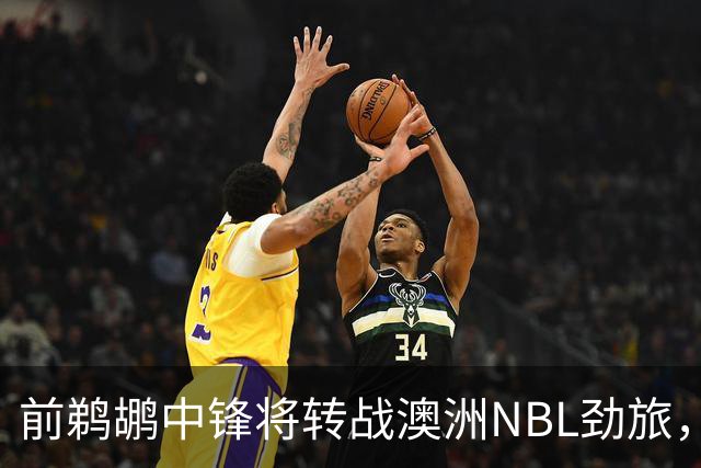 前鹈鹕中锋将转战澳洲NBL劲旅，他有机会得到更多的出场时间？