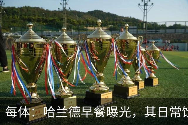 每体：哈兰德早餐曝光，其日常饮食热量最高可达6000大卡